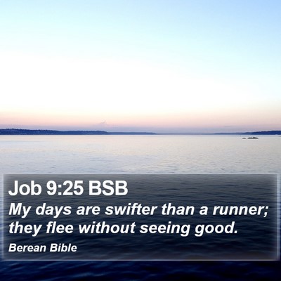 Job 9:25 BSB Bible Verse Image