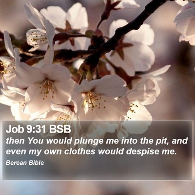 Job 9:31 BSB Bible Verse Image