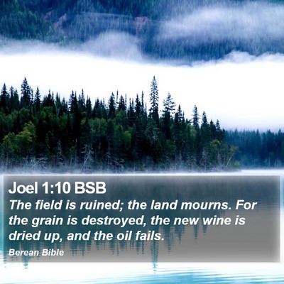 Joel 1:10 BSB Bible Verse Image