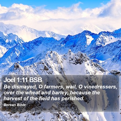 Joel 1:11 BSB Bible Verse Image