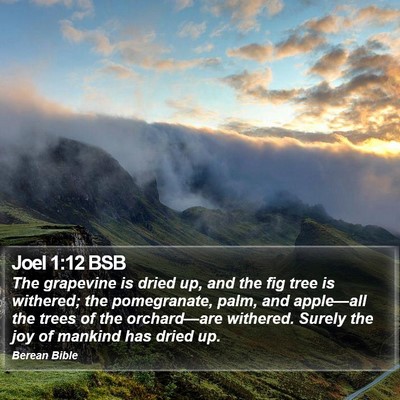 Joel 1:12 BSB Bible Verse Image