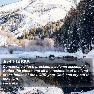 Joel 1:14 BSB Bible Verse Image