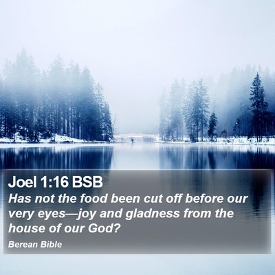 Joel 1:16 BSB Bible Verse Image