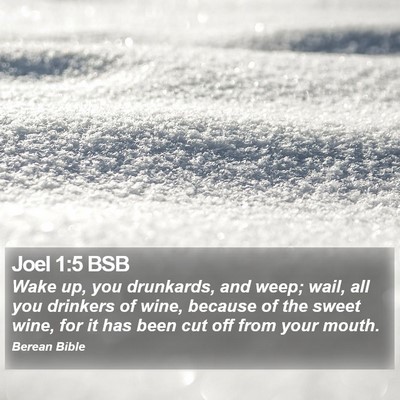 Joel 1:5 BSB Bible Verse Image