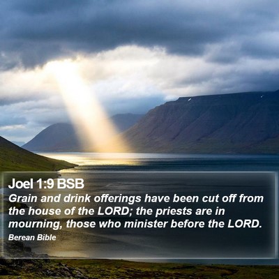 Joel 1:9 BSB Bible Verse Image