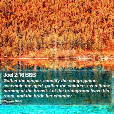 Joel 2:16 BSB Bible Verse Image