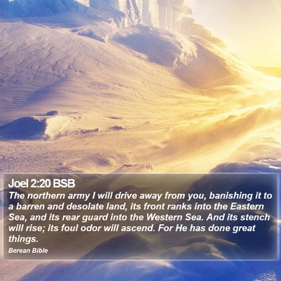 Joel 2:20 BSB Bible Verse Image