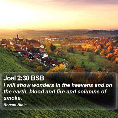 Joel 2:30 BSB Bible Verse Image