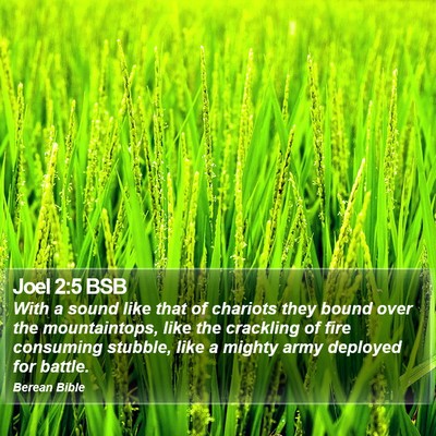 Joel 2:5 BSB Bible Verse Image