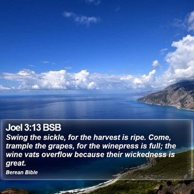 Joel 3:13 BSB Bible Verse Image
