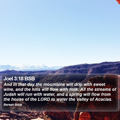 Joel 3:18 BSB Bible Verse Image