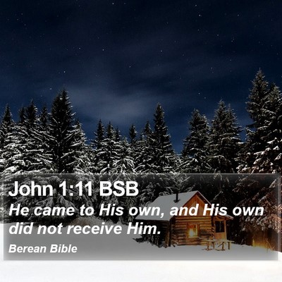 John 1:11 BSB Bible Verse Image