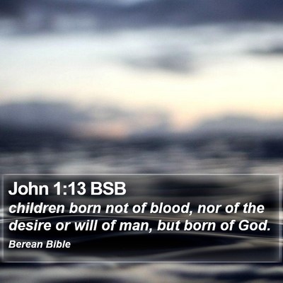 John 1:13 BSB Bible Verse Image