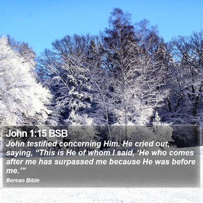 John 1:15 BSB Bible Verse Image