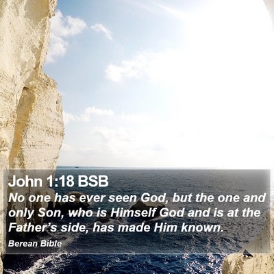 John 1:18 BSB Bible Verse Image