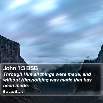John 1:3 BSB Bible Verse Image