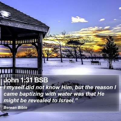 John 1:31 BSB Bible Verse Image