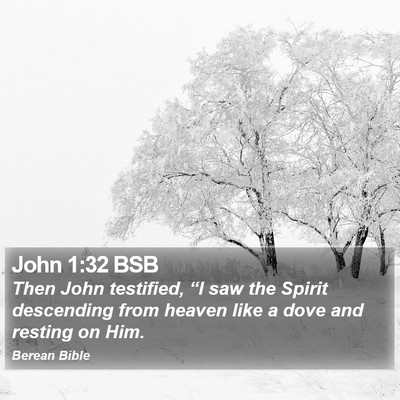 John 1:32 BSB Bible Verse Image