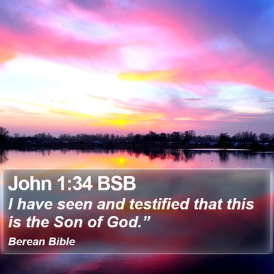 John 1:34 BSB Bible Verse Image