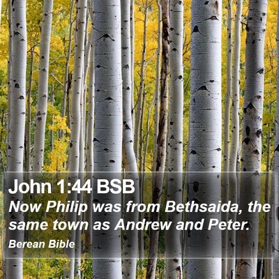 John 1:44 BSB Bible Verse Image