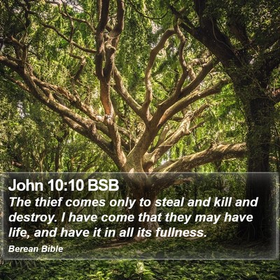 John 10:10 BSB Bible Verse Image