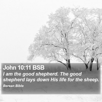 John 10:11 BSB Bible Verse Image