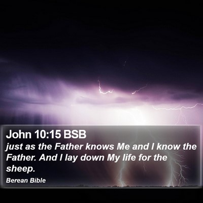 John 10:15 BSB Bible Verse Image