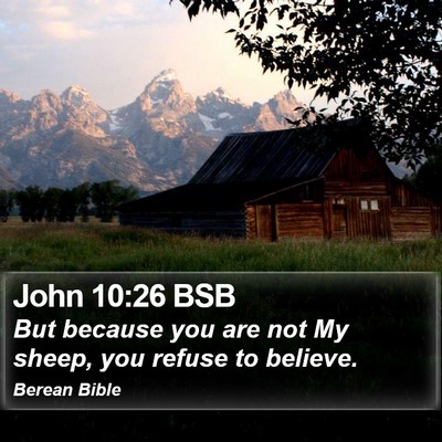 John 10:26 BSB Bible Verse Image