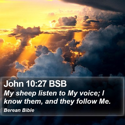 John 10:27 BSB Bible Verse Image