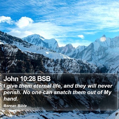 John 10:28 BSB Bible Verse Image