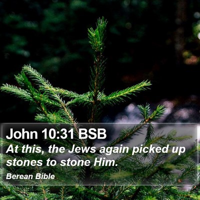John 10:31 BSB Bible Verse Image