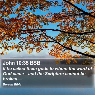 John 10:35 BSB Bible Verse Image