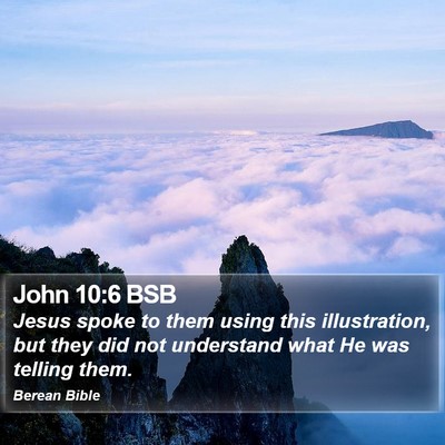 John 10:6 BSB Bible Verse Image