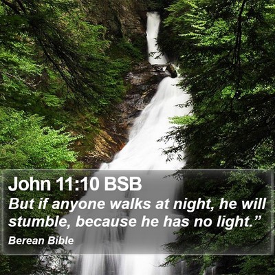 John 11:10 BSB Bible Verse Image