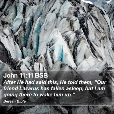 John 11:11 BSB Bible Verse Image