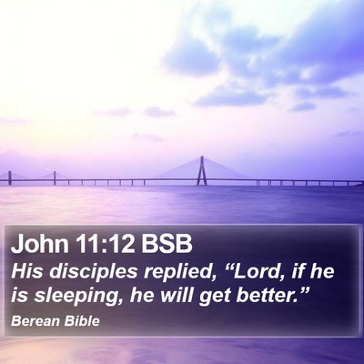 John 11:12 BSB Bible Verse Image