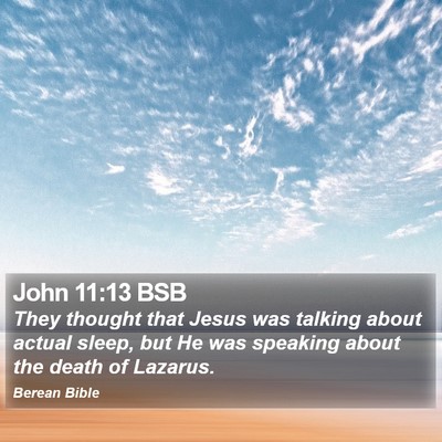 John 11:13 BSB Bible Verse Image