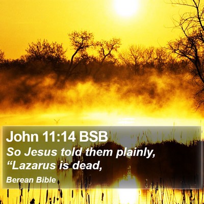 John 11:14 BSB Bible Verse Image