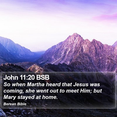 John 11:20 BSB Bible Verse Image