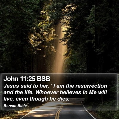 John 11:25 BSB Bible Verse Image
