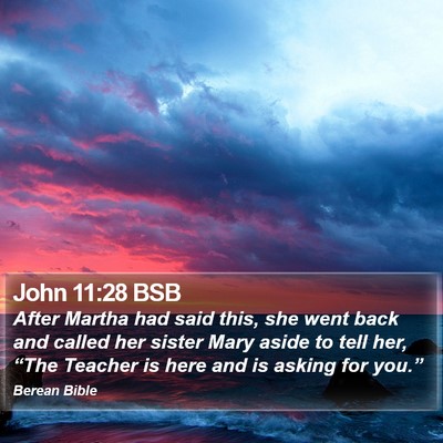 John 11:28 BSB Bible Verse Image