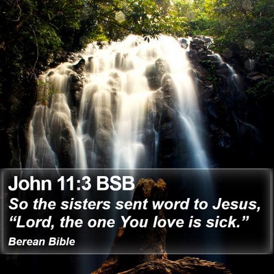 John 11:3 BSB Bible Verse Image