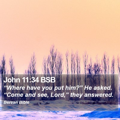 John 11:34 BSB Bible Verse Image