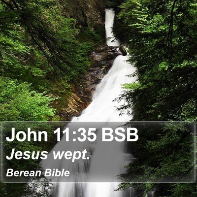 John 11:35 BSB Bible Verse Image