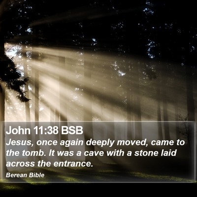 John 11:38 BSB Bible Verse Image