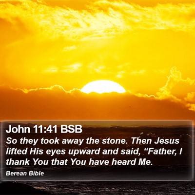 John 11:41 BSB Bible Verse Image