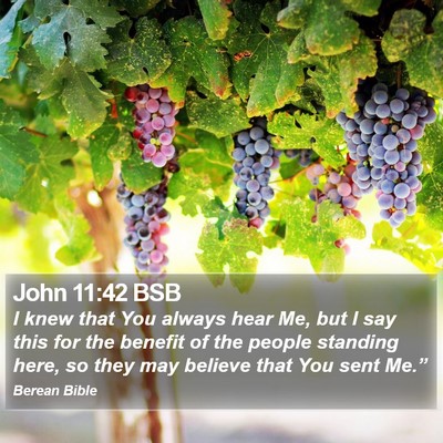 John 11:42 BSB Bible Verse Image