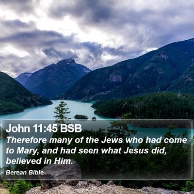 John 11:45 BSB Bible Verse Image