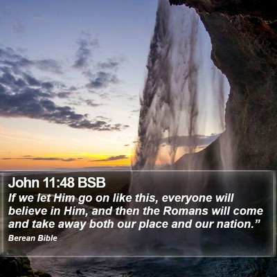 John 11:48 BSB Bible Verse Image