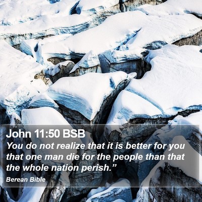 John 11:50 BSB Bible Verse Image